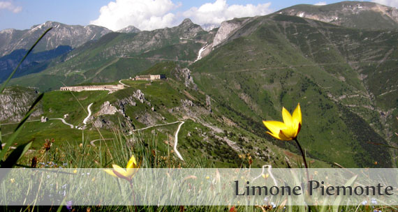 Limone Piemonte